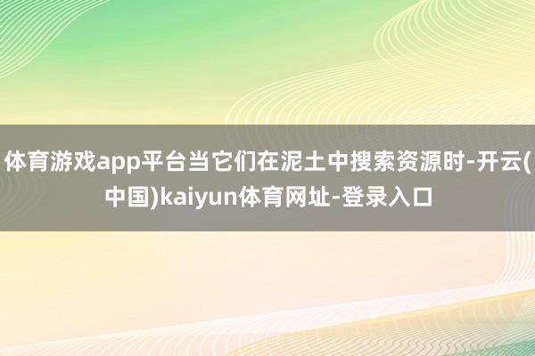 体育游戏app平台当它们在泥土中搜索资源时-开云(中国)kaiyun体育网址-登录入口