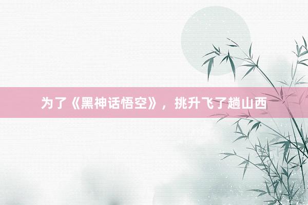 为了《黑神话悟空》，挑升飞了趟山西
