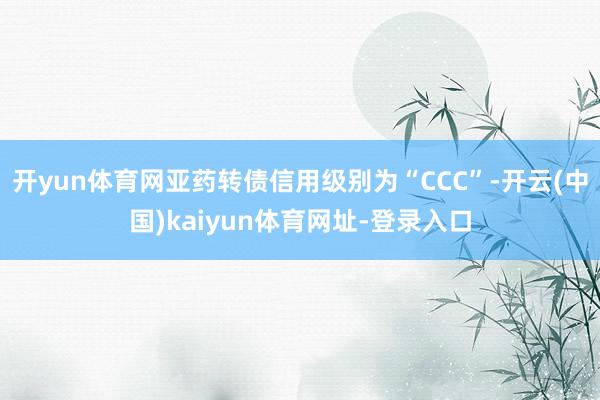 开yun体育网亚药转债信用级别为“CCC”-开云(中国)kaiyun体育网址-登录入口